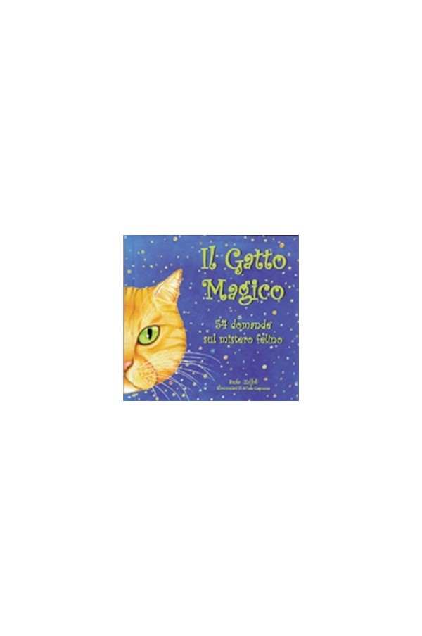 Il gatto magico