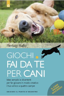 Giochi fai da te per cani