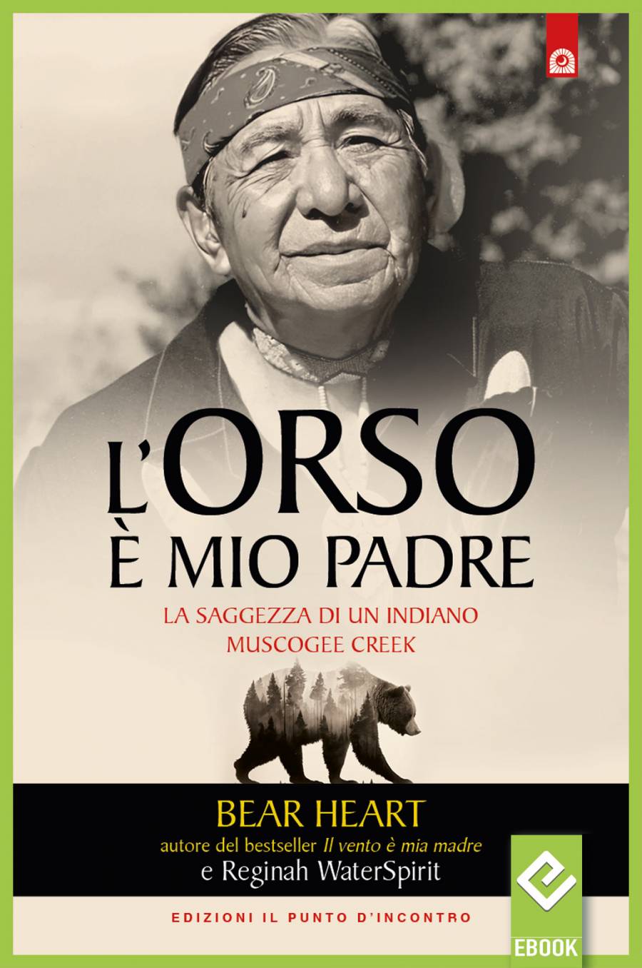 eBook: L'orso è mio padre