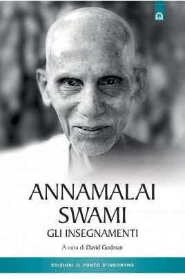 Annamalai Swami - Gli insegnamenti