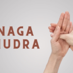 naga mudra