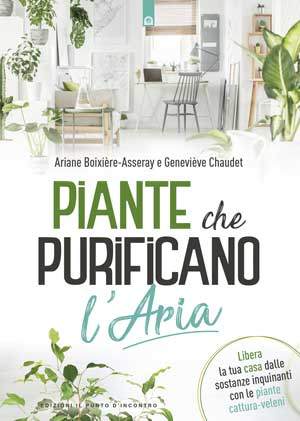 piante-che-purificano-l-aria