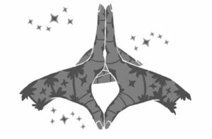 uttharabodhi mudra