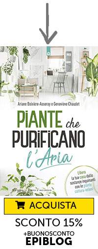 piante-che-purificano-l-aria