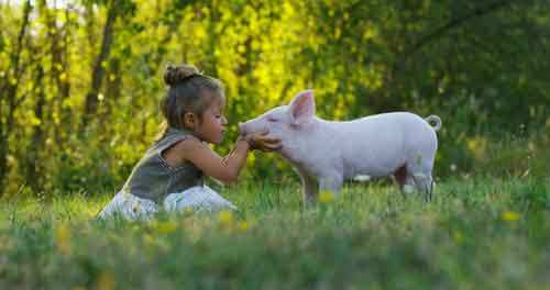 Il veganismo non è una dieta